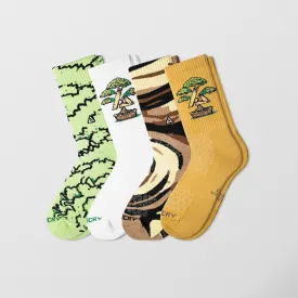 Zen - Bonsai 4 Pack